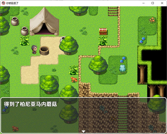 图片[2]-你被驱逐了 官方中文作弊版 PC+安卓 RPG游戏 1.2G-夺宝游戏